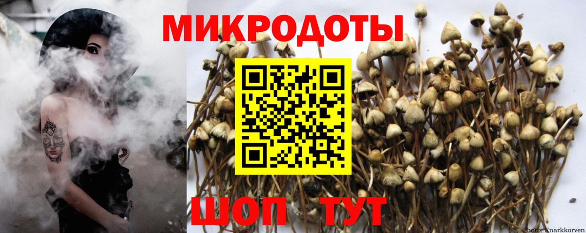 Псилоцибиновые грибы Psilocybe  закладки  Протвино  Вход с VPN 